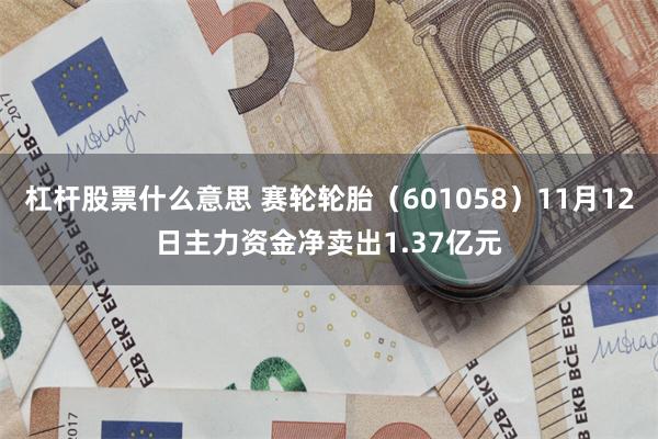 杠杆股票什么意思 赛轮轮胎（601058）11月12日主力资金净卖出1.37亿元