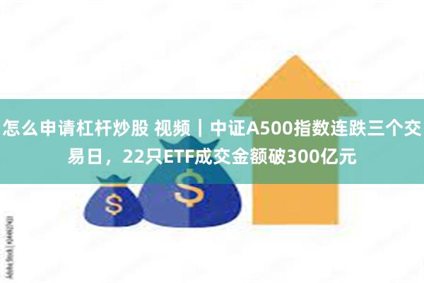 怎么申请杠杆炒股 视频｜中证A500指数连跌三个交易日，22只ETF成交金额破300亿元