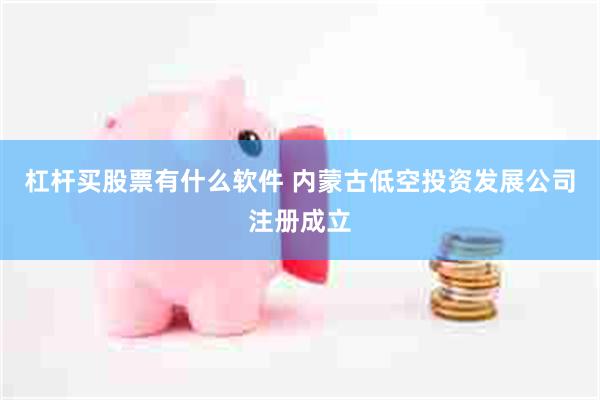 杠杆买股票有什么软件 内蒙古低空投资发展公司注册成立