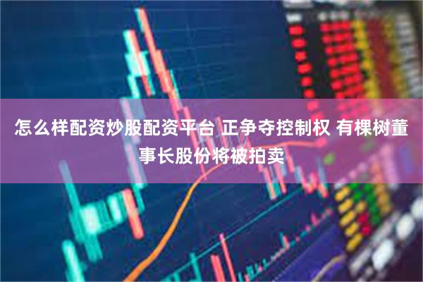 怎么样配资炒股配资平台 正争夺控制权 有棵树董事长股份将被拍卖