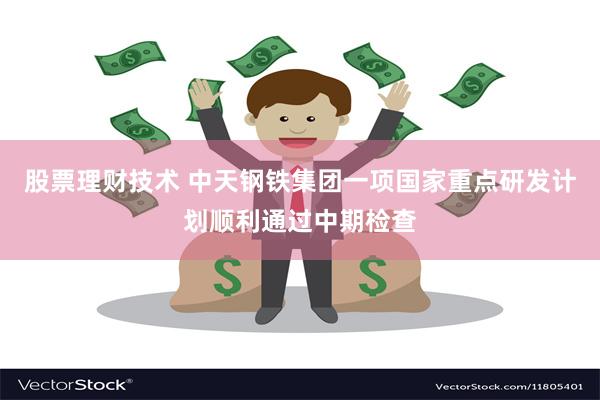 股票理财技术 中天钢铁集团一项国家重点研发计划顺利通过中期检查