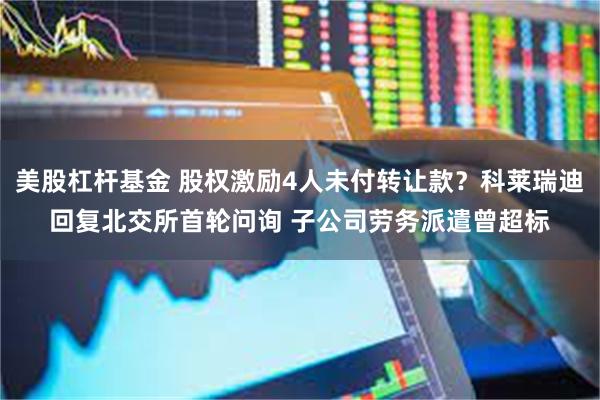 美股杠杆基金 股权激励4人未付转让款?科莱瑞迪回复北交所首轮问询 子公司劳务派遣曾超标